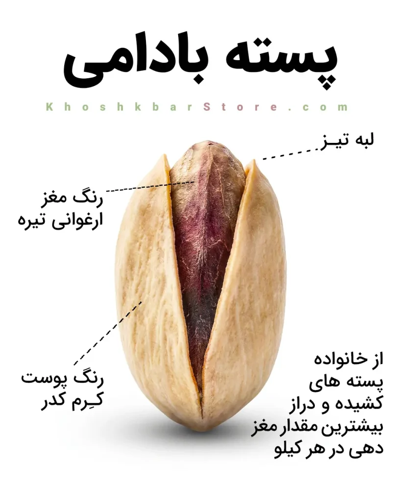 انواع پسته ایرانی را از روی ظاهر بشناسید؛ راهنمای تصویری خرید 15 اینفوگرافیک ویژگیهای پسته بادامی شامل شکل کشیده و دراز، لبه تیز، رنگ پوست کرم کدر، مغز ارغوانی تیره و بالاترین درصد مغزدهی در هر کیلوگرم در خشکبار استور