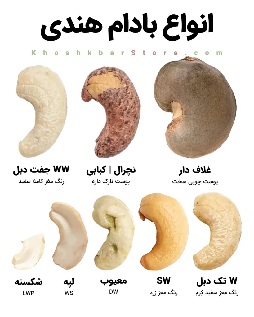 خشکبار استور 554 انواع بادام هندی و گریدهای تجاری WW و کبابی و لپه خشکبار استور