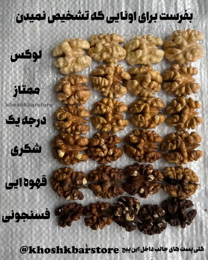 اینفوگرافیک جامع درجه‌بندی رنگ و کیفیت مغز گردو؛ راهنمای خرید تخصصی و تشخیص کیفیت محصولات در خشکبار استور