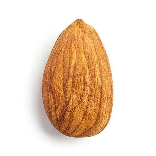 خرید مغز بادام درختی تازه و مرغوب خشکبار استور