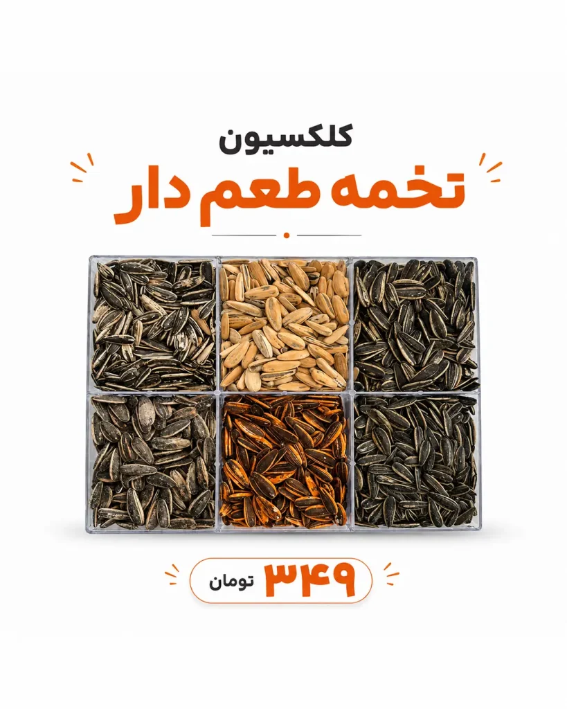 خرید پک آجیل و خشکبار | کلکسیون لوکس هدیه و پذیرایی 19 باکس ۶ خانه کلکسیون تخمه طعمدار و برشته شامل انواع تخمه کدو و آفتابگردان خشکبار استور