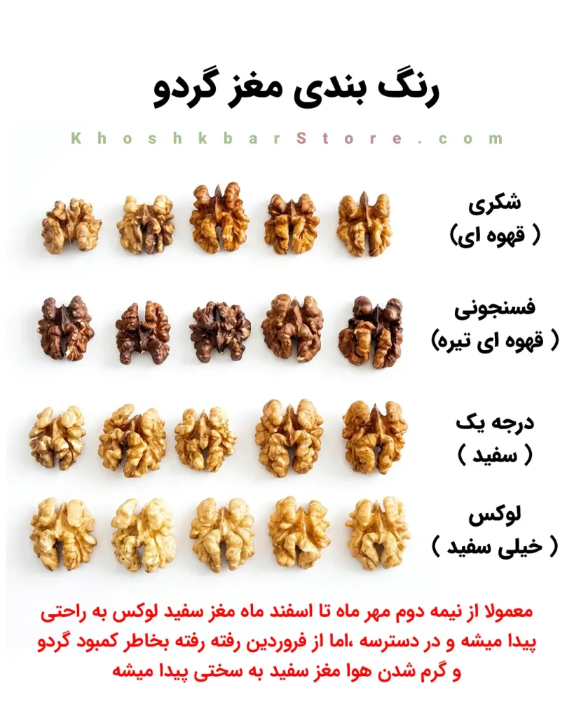 راهنمای جامع انواع گردو و تشخیص گردوی ایرانی از خارجی 22 اینفوگرافیک راهنمای تشخیص رنگ مغز گردو شامل دستههای لوکس، درجه یک، فسنجونی و شکری؛ راهنمای خرید گردوی باکیفیت و تازه در خشکبار استور