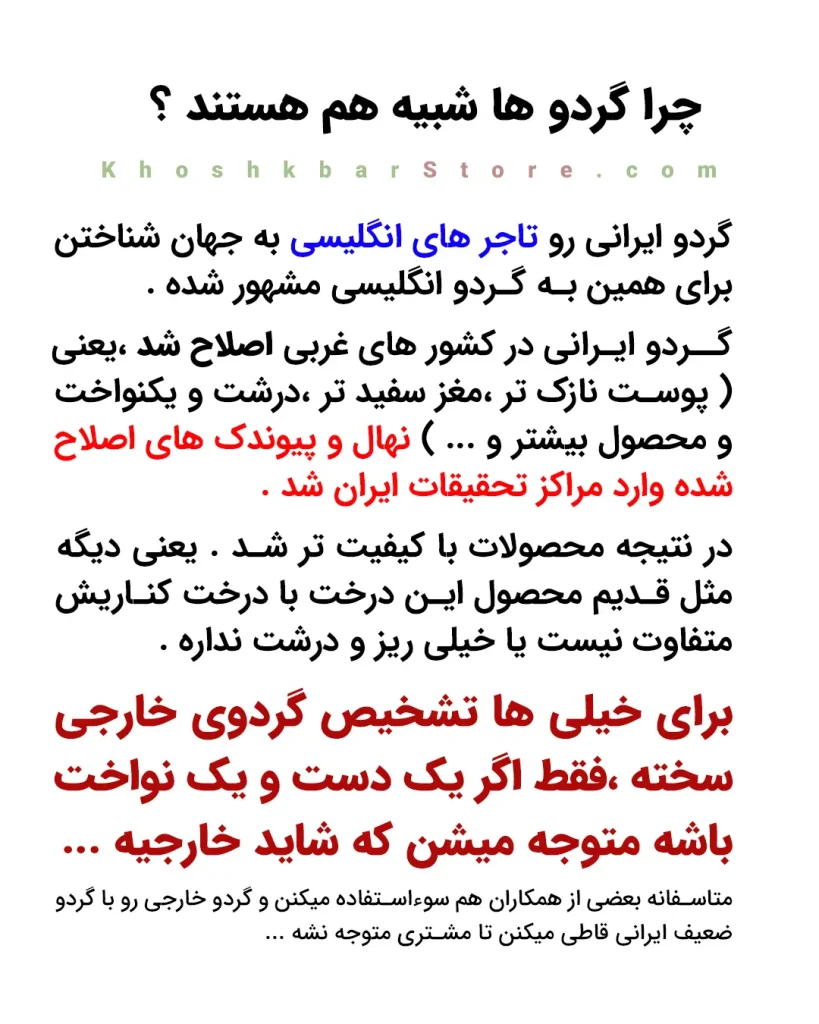 راهنمای جامع انواع گردو و تشخیص گردوی ایرانی از خارجی 10 اینفوگرافیک راهنمای تفاوت و شباهت انواع گردو اصلاح شده ایرانی و گردوی خارجی و روش تشخیص گردوی اصل در خشکبار استور