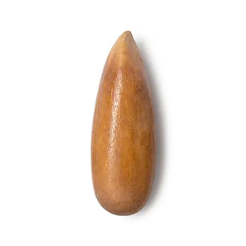 خشکبار استور 366 چلغوزه
