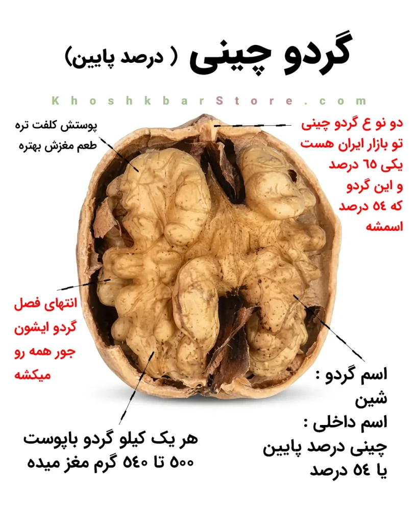 راهنمای جامع انواع گردو و تشخیص گردوی ایرانی از خارجی 13 اینفوگرافیک معرفی گردو چینی درصد پایین موسوم به رقم شین ۵۴ درصد با بازدهی ۵۰۰ تا ۵۴۰ گرم مغز و پوست نسبتا ضخیمتر در خشکبار استور
