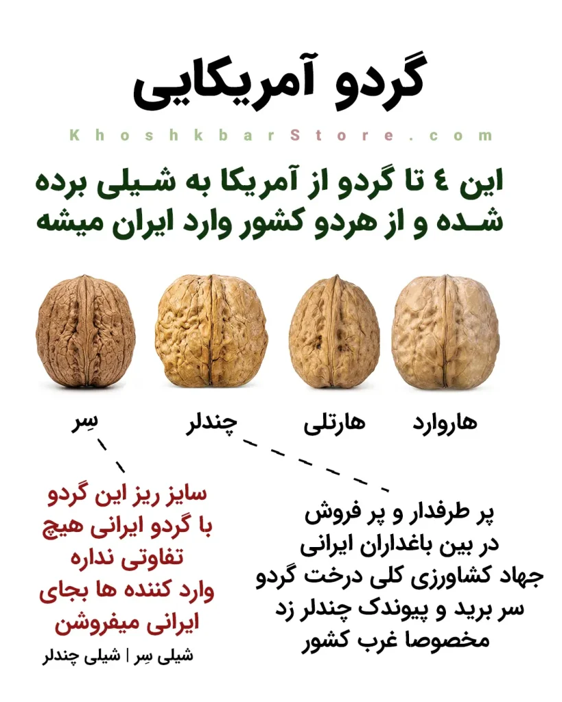 راهنمای جامع انواع گردو و تشخیص گردوی ایرانی از خارجی 14 اینفوگرافیک معرفی ارقام گردو آمریکایی-شیلی (چندلر، هارتلی، هاروارد و فرنور) وارد شده به بازار ایران و تحلیل نحوه تشخیص آنها از گردو ایرانی در خشکبار استور