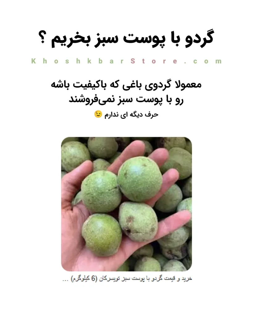راهنمای جامع انواع گردو و تشخیص گردوی ایرانی از خارجی 21 هشدار آموزشی درباره خرید گردو با پوست سبز، توضیح اینکه چرا باغداران گردوهای درجه یک و باکیفیت را بدون پوست سبز عرضه میکنند، راهنمای خرید صادقانه خشکبار استور