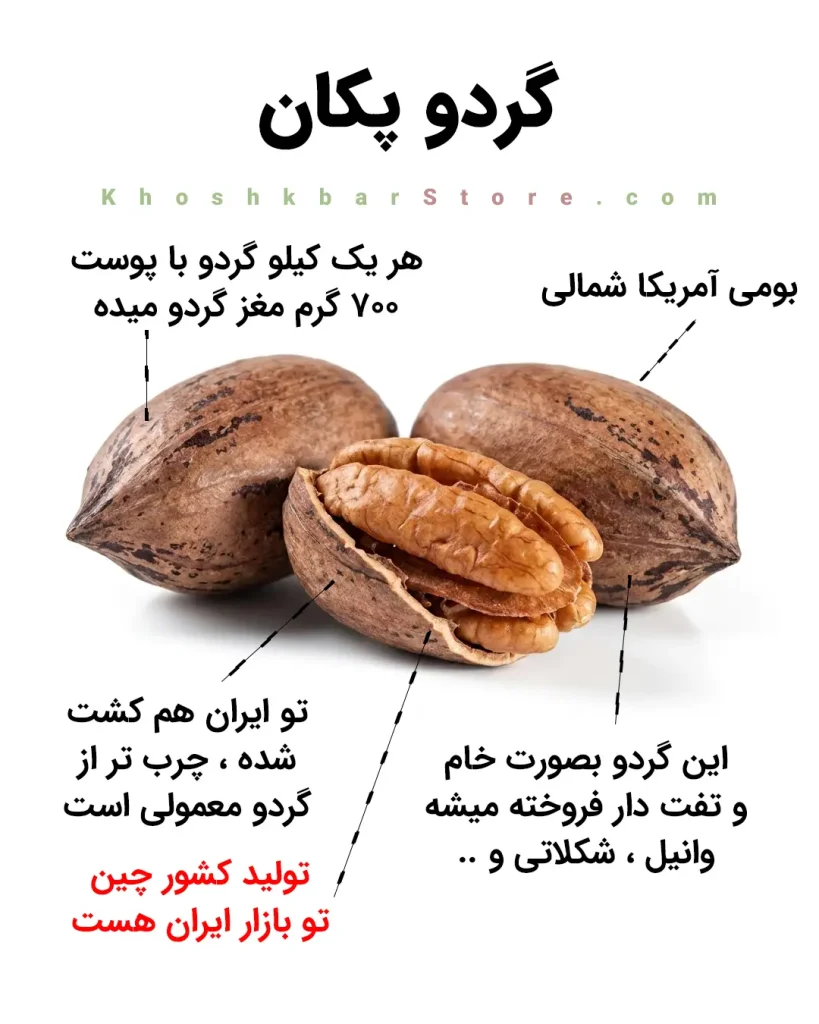 راهنمای جامع انواع گردو و تشخیص گردوی ایرانی از خارجی 18 اینفوگرافیک معرفی گردو پکان (Pecan) با بازدهی ۷۰۰ گرم مغز در کیلوگرم، مقایسه گردو پکان آمریکایی و چینی، و معرفی انواع طعمهای آجیلی (وانیلی، شکلاتی) در خشکبار استور