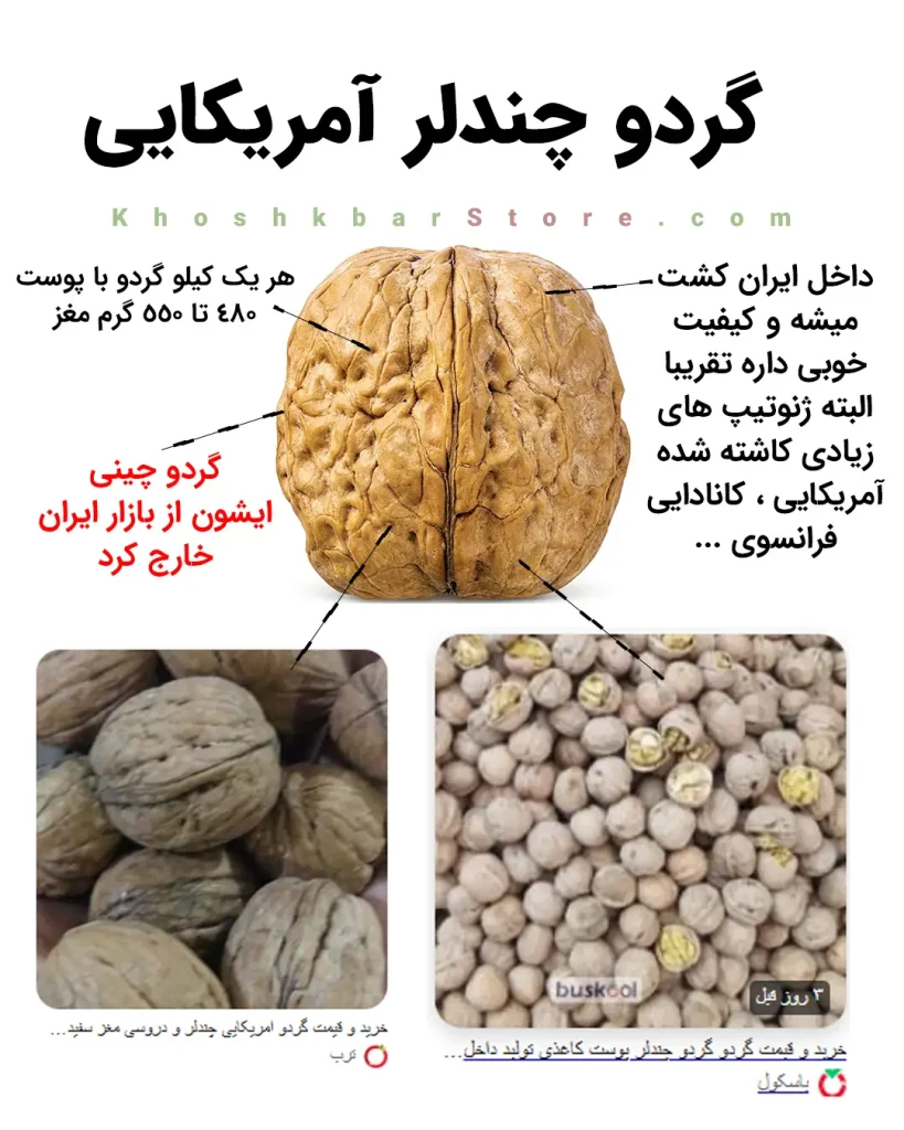 راهنمای جامع انواع گردو و تشخیص گردوی ایرانی از خارجی 16 اینفوگرافیک معرفی گردو چندلر آمریکایی که در ایران کشت میشود، مقایسه بازدهی ۴۸۰ تا ۵۵۰ گرم مغز، و تفاوت آن با گردوهای چینی بیکیفیت در بازار خشکبار ایران