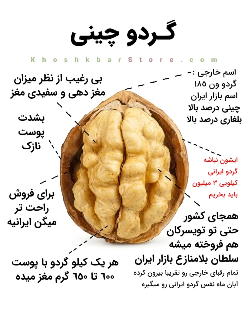 راهنمای جامع انواع گردو و تشخیص گردوی ایرانی از خارجی 12 اینفوگرافیک معرفی گردو چینی موسوم به ون ۱۸۵ و بلغاری درصد بالا با پوست فوقالعاده نازک و بازدهی ۶۰۰ تا ۶۵۰ گرم مغز سفید در هر کیلوگرم در خشکبار استور