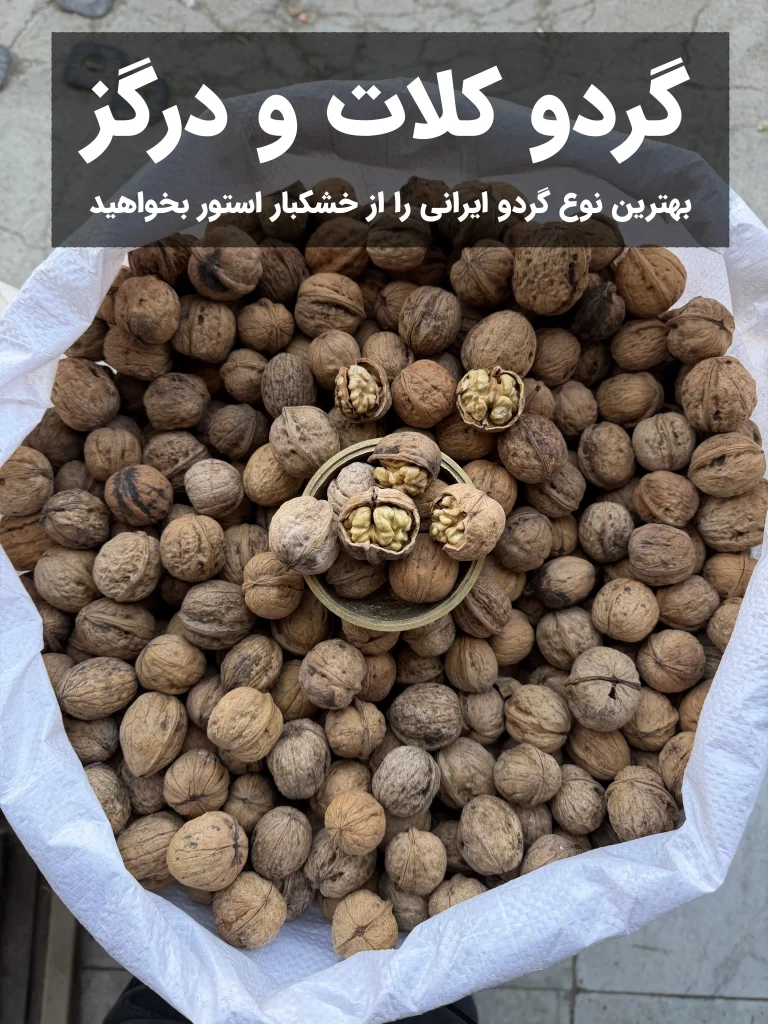 راهنمای جامع انواع گردو و تشخیص گردوی ایرانی از خارجی 24 تصویر واقعی گونی گردو و مغز گردوی تازه کلات و درگز خراسان رضوی، خرید مستقیم از باغداران، محصول اعلا و باکیفیت خشکبار استور