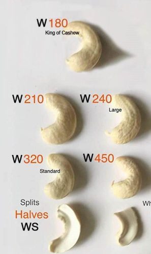 Cashew-Nut-Kernels-Size-Chart-W180-W210-W240-W320-W450-WS-LWP-1-min